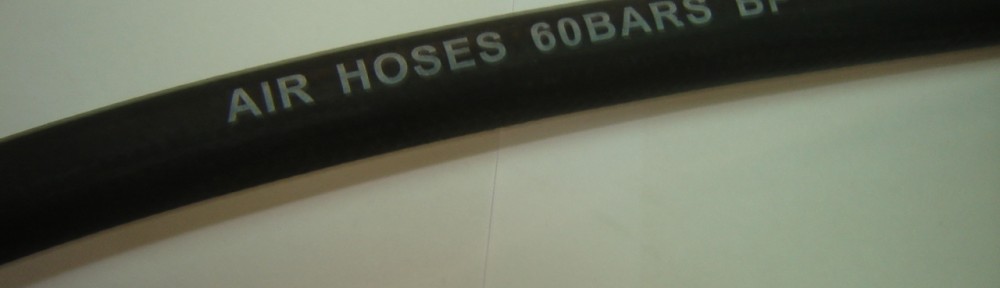 B.ELASTIKOSAEROSBT